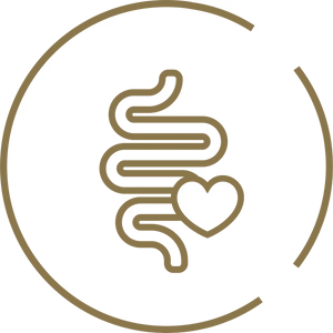 Gut Friendly